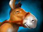 Animal Courier