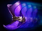 Phase Boots